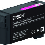 EPSON Cartridge Magenta C13T40C34N